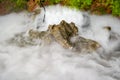 Mist pool water and rockery in the garden Royalty Free Stock Photo