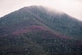 Mist rises on Mount Oribio revealing the purple slopes of flowering heather