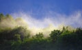 Mist rises over the forest after the rain during summer Royalty Free Stock Photo