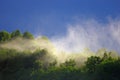 Mist rises over the forest after the rain during summer