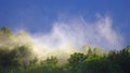 Mist rises over the forest after the rain during summer Royalty Free Stock Photo