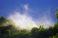 Mist rises over the forest after the rain during summer Royalty Free Stock Photo