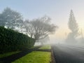 mist morning, the visibility on the road was only 100 meters. Royalty Free Stock Photo