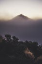 Mist scenery landscape with top of teide vulcan mountain covered from clouds and fog and wild nature visible in foreground-