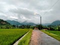 mist shrouded hills in cibodas