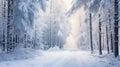 mist snow fog Royalty Free Stock Photo