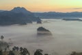 The Mist and Sunrise Time with Maxican SunFlower, Landscape at Phu Langka, Payao Province, Thailand Royalty Free Stock Photo