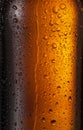 Misted glass of beer bottle. Close up shot Royalty Free Stock Photo