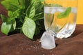 Misted glass of water on a hot Sunny day. juicy Basil, ice and a yellow wall Royalty Free Stock Photo