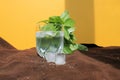 Misted glass of water on a hot Sunny day. juicy Basil, ice and a yellow wall Royalty Free Stock Photo