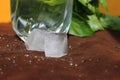 Misted glass of water on a hot Sunny day. juicy Basil, ice and a yellow wall Royalty Free Stock Photo