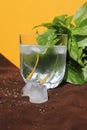 Misted glass of water on a hot Sunny day. juicy Basil, ice and a yellow wall Royalty Free Stock Photo