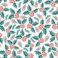 Misteltoes seamless vector pattern on a white background. Royalty Free Stock Photo