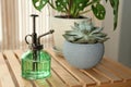 Mister and potted houseplants on wooden table