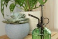 Mister and potted houseplants on wooden table, closeup
