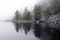 Misterious, foggy lake with pines Royalty Free Stock Photo