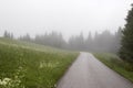 Misterious foggy road in Austrian cantry side. Woodland and meadow landscape in a fog. Nature trevel background