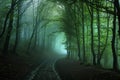 Misterious forest road on a foggy rainy day Royalty Free Stock Photo