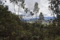 Misterious green dark forest landscape with green countryfield and mountains at background