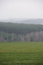 Misterious landscape. Green field and remote dark forest in quiet misty morning copy space Royalty Free Stock Photo