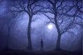 Misterious Night Foggy Forest AI Generated