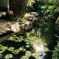 Mistick garden waterfall