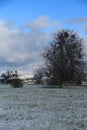Mistletoe Boughs And Glastonbury Tor Snow Scene  Somerset  England. Royalty Free Stock Photo