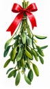 Mistletoe Bouquet with Bright Red Bow Isolated Against a Crisp White Background Royalty Free Stock Photo