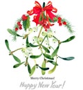 Mistletoe branch. Merry Christmas. Happy New Year. Royalty Free Stock Photo