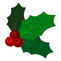 Mistletoe branch on white background in flat style. Decorative holly leaf traditional christmas symbol