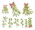 Mistletoe Branches Set, Bundle Of Fresh Green Mistletoe Plants, Perfect For Holiday Decor And Traditional Kissing Under