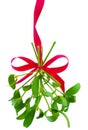 Mistletoe bunch hanged on red ribbon isolated on a white background