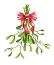 Mistletoe Christmas bunch with a red ribbon watercolor illustration. Traditional xmas evergreen plant hand painted, isolated on wh