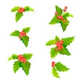 Mistletoe Christmas plants set with leaves and fruit. Holly berry decoration collection. Royalty Free Stock Photo