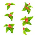 Mistletoe Christmas plants set with leaves and fruit. Holly berry decoration collection. Vector Royalty Free Stock Photo