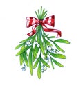 Mistletoe. Hand drawn illustration of mistletoe sprigs with red bow isolated on white background for Christmas cards and