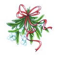 Mistletoe. Hand drawn illustration of mistletoe sprigs with red bow isolated on white background for Christmas cards and