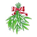 Mistletoe. Hand drawn vector illustration of mistletoe sprigs with red bow isolated on white background for Christmas