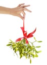 Mistletoe Royalty Free Stock Photo