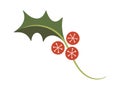 Mistletoe holly berry Christmas element Royalty Free Stock Photo