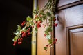 mistletoe hung at the top of a door frame