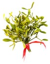 Mistletoe Royalty Free Stock Photo