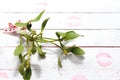 Mistletoe with kisses on wooden boards