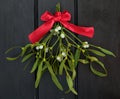 Mistletoe Kisses Royalty Free Stock Photo