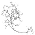 Corner bunch of outline Mistletoe or Viscum album in black isolated on white background. Royalty Free Stock Photo
