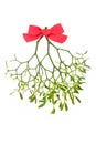 Mistletoe Plant Pagan Symbol of Fertility