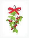 Mistletoe with Red Berries vector