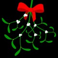 Mistletoe with red bow Royalty Free Stock Photo