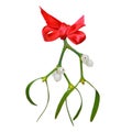 Mistletoe with red ribbon isolated on white. Royalty Free Stock Photo
