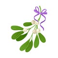 Mistletoe Twig With Berries Tied With Festive Silk Ribbon Vector Illustration